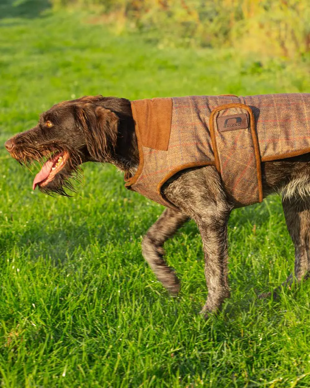 Baleno Bobby Printed Tweed Dog Coat